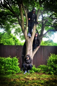 climb up tree